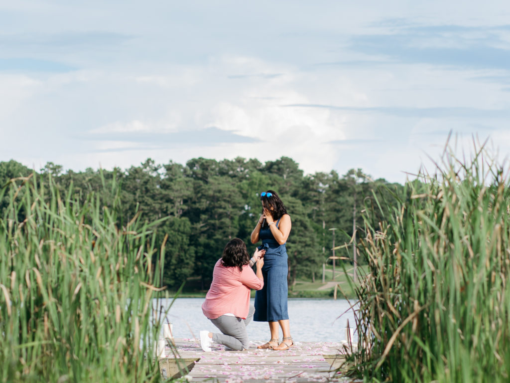 Wedding proposal photography - you're engaged